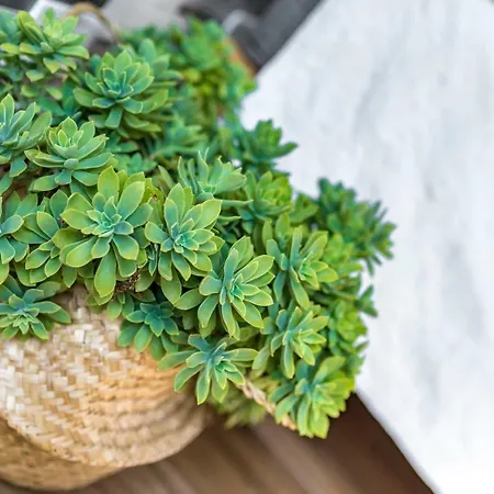 Bed and Breakfast Villa Maria Pia - Boutique B&B & Breakfast Experience 4*